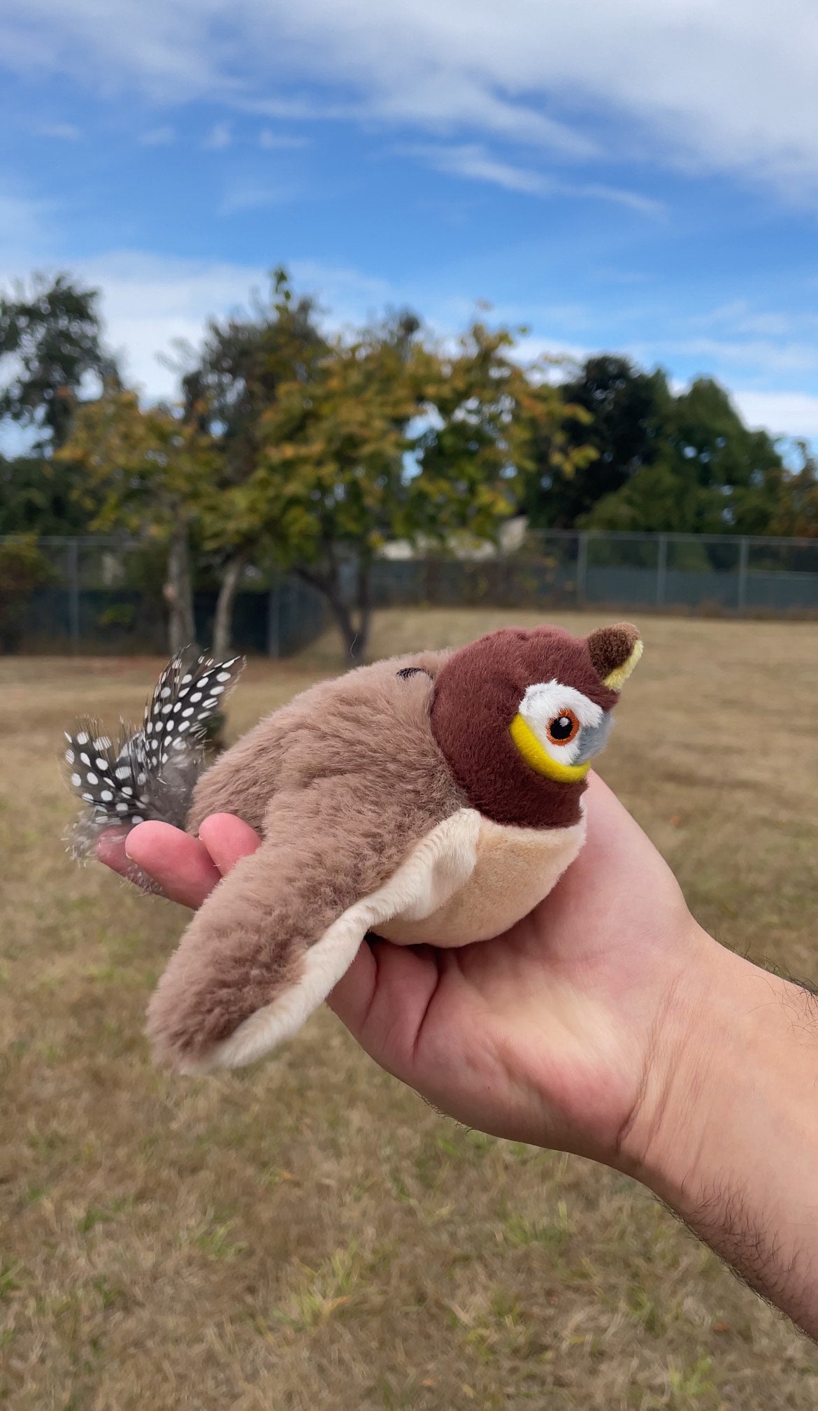 Flapping Bird Cat Toy